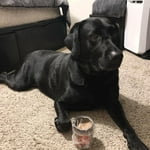 Image 6 of customer photos