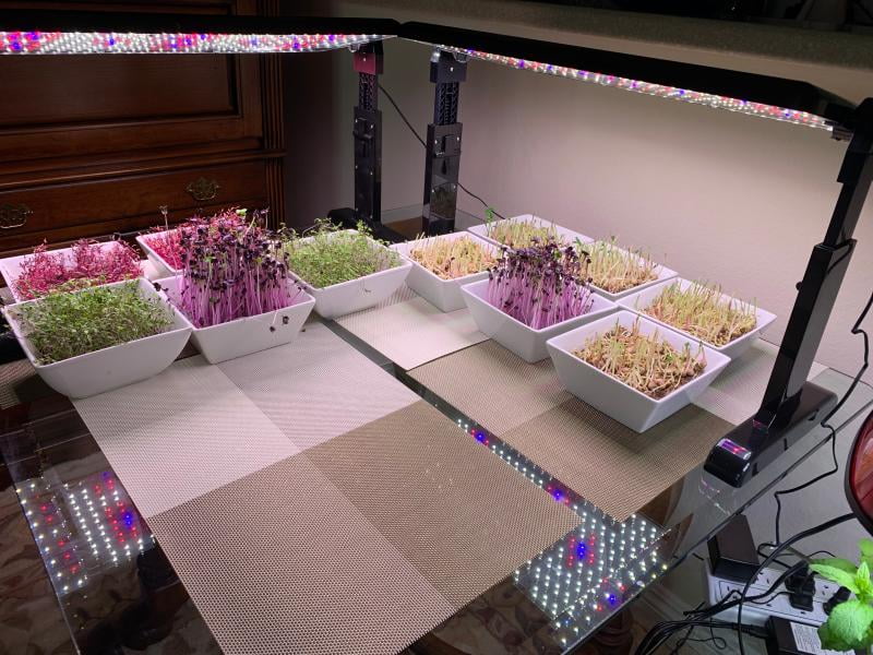 Aerogarden Led Panel Fasci Garden