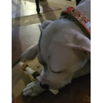 Image 2 of customer photos