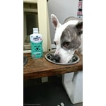 Image 1 of customer photos