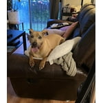 Image 7 of customer photos