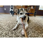 Image 6 of customer photos