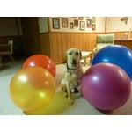 Image 2 of customer photos