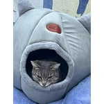 Image 6 of customer photos