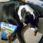 Image 5 of customer photos