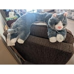 Image 2 of customer photos