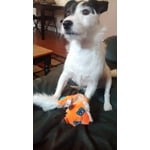 Image 2 of customer photos