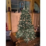 Image 2 of customer photos