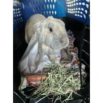 Image 3 of customer photos