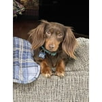 Image 7 of customer photos