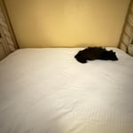 Image 7 of customer photos