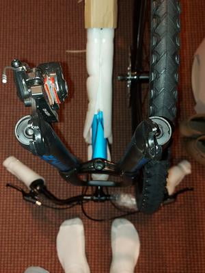 schwinn copeland reviews