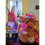 Image 1 of customer photos