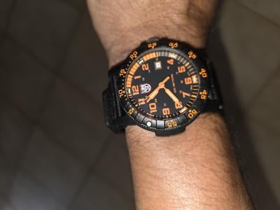 Luminox Men's Sea Turtle Giant 0329, Black Dial, Rubber Strap