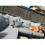 Image 1 of customer photos