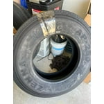 Image 1 of customer photos