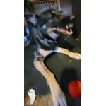 Image 5 of customer photos