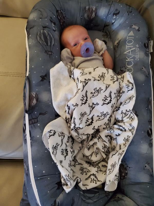 dock a tot in halo bassinest