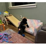 Image 1 of customer photos