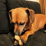 Image 3 of customer photos