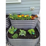 Image 3 of customer photos