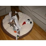 Image 2 of customer photos