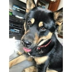 Image 2 of customer photos