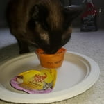 Image 6 of customer photos