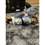 Image 5 of customer photos