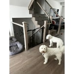 Image 1 of customer photos