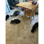 Image 4 of customer photos