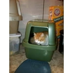 Image 6 of customer photos