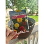 Image 7 of customer photos