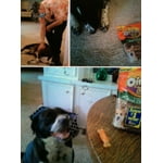 Image 2 of customer photos