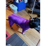 Image 2 of customer photos