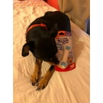 Image 3 of customer photos