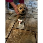 Image 7 of customer photos