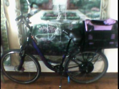 schwinn 700c adamson