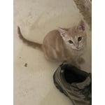 Image 7 of customer photos