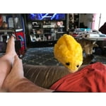 Image 2 of customer photos