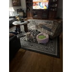 Image 7 of customer photos