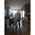 Image 3 of customer photos