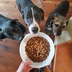 Image 5 of customer photos