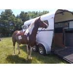 Image 5 of customer photos