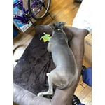 Image 6 of customer photos