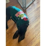 Image 1 of customer photos