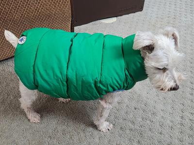 Customer reviews for Oodles Green Quilted Puffer Bubble Hem Fall