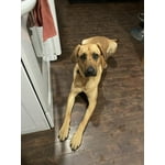 Image 9 des photos des clients