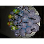 Image 1 of customer photos