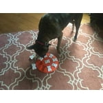 Image 4 of customer photos